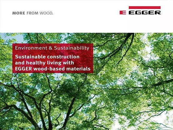 关于爱格，你所不知道的冷知识。